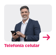 Telefonia celular